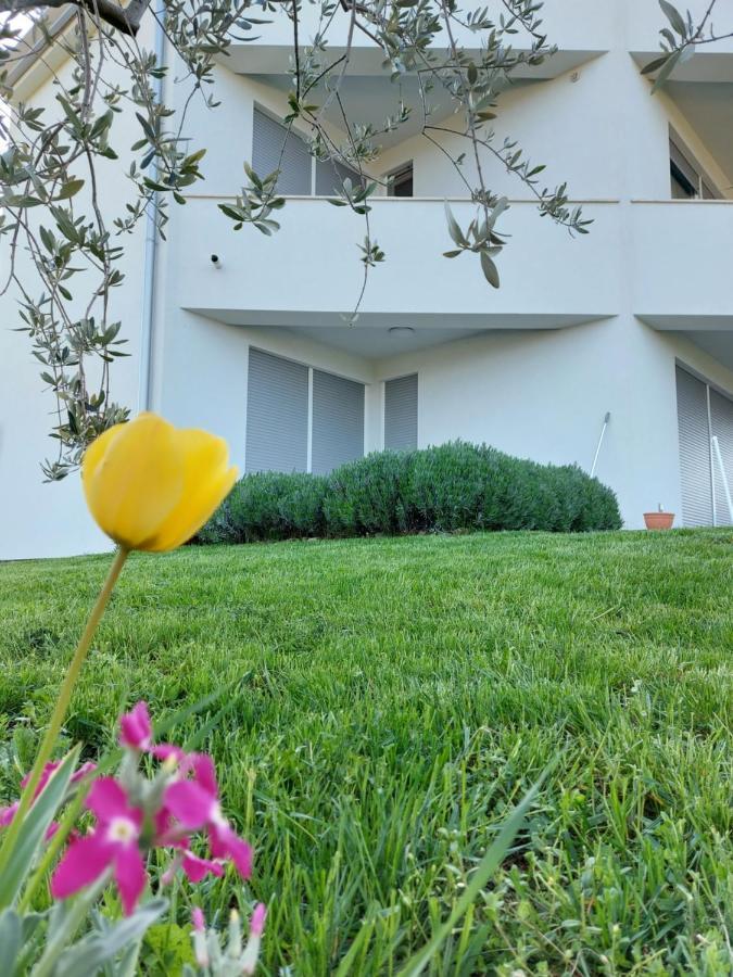 Apartment Fiorella Poreč Eksteriør bilde