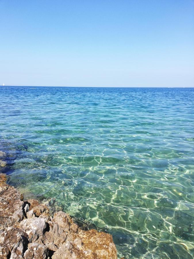 Apartment Fiorella Poreč Eksteriør bilde